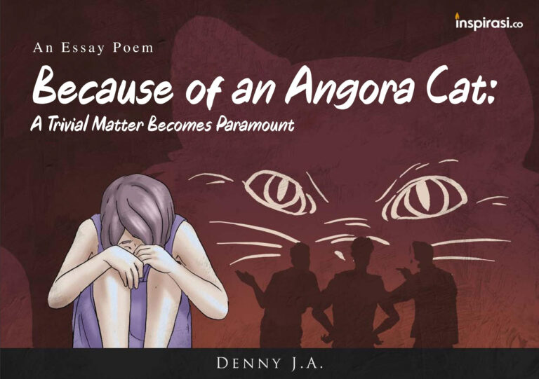 Because of Angora Cat